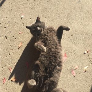 Meet your Posher, Nadine